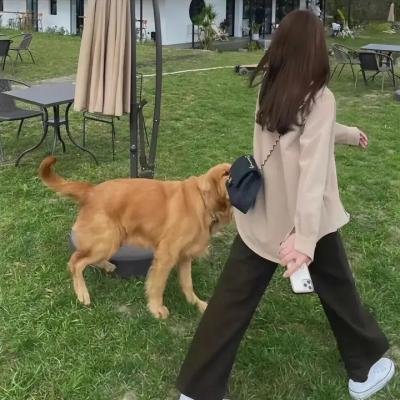 青魇